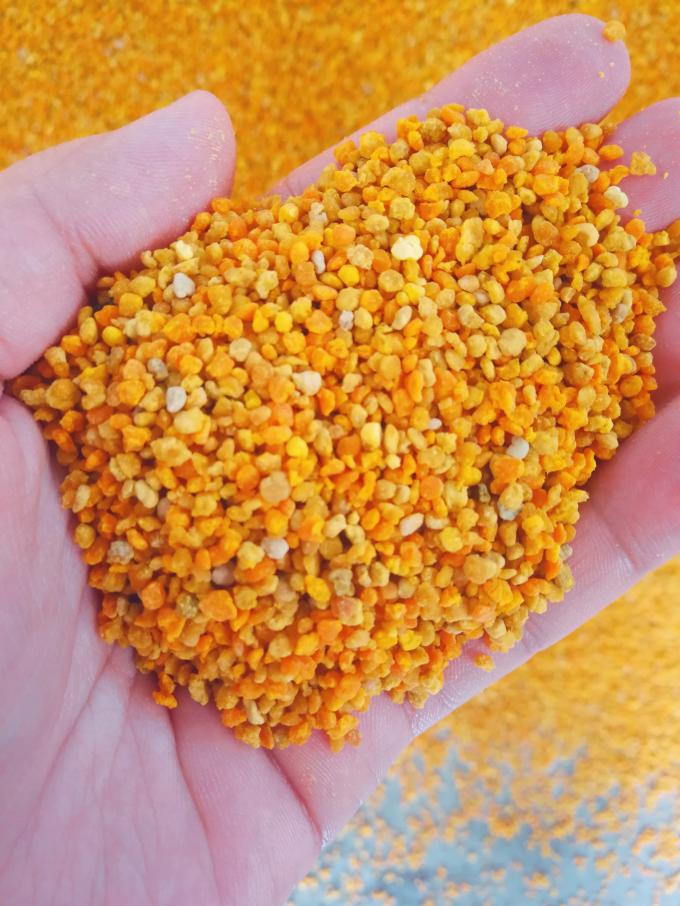 Honey Bee Products Natural Fresh Organic Low Fat Mixed Bee Pollen 0
