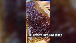 Pure Raw Sidr Honey Wholesale 100 Percent Natural Quality