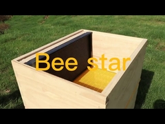 Langstroth Unassembled Honey Bee Hive Box Kit Wooden Beekeeping Equipment