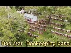 Pure Natural Bee Star  Beekeeping Base Residues Free Multi Flower Honey