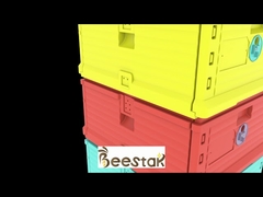 Food Grade Plastic Thermo Beehive 10 Frames With Pollen Trap Two Layers Bee Hive