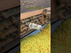 Wholesale 100% Natural Bee Honey High quality Pure Raw Organic Traditional Herb Honey