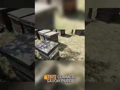 Big Granual Rape pollen  Honey Raw Bee Pollen For Human Beings and Bees