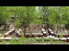 Beestar Fresh Natural Sidr Honey Without Any Additive Natural Bee Honey Raw Honey For Health Care