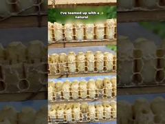 Best Price pure fresh royal jelly lyophilized powder