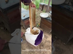 Manuka Honey UMF10+(250g)  natural bee honey From New Zealand pure raw honey