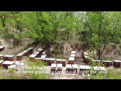  always adhere to the principle of 