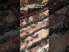 Pure Natural Bee Honey Residues Free Multi Flower Honey 100% Pure Raw Honey