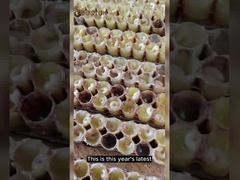 Liquid Gold Pure Natural Royal 10-HDA Fresh Healthy Care Royal Jelly 1000mg Queen 