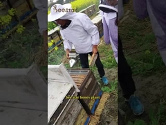 Natural Organic Bee Honey Sidr Honey with Distinctive Aroma and Color