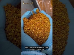 Natural food Fresh  Pollen Raw Bee Pollen Low Fat for Humans or Bees