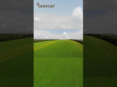 Our ecological beekeeping base is far away from pollution