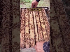 Hot selling in the market Organic Fresh Royal Jelly Natural Pure Food Grade