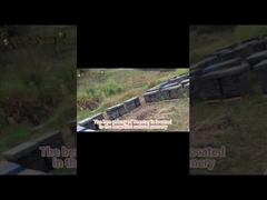 Natural Multi-Flower Bee Pollen Granules 25kg Bulk Food Grade