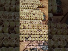 10-HDA Organic Fresh Royal Jelly Pure Royal Jelly for health care