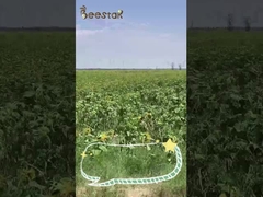 100% Pure Mixed Bee Pollen Powder