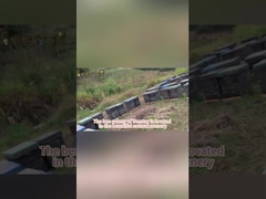 Natural Multi-Flower Bee Pollen Granules  Bulk Food Grade