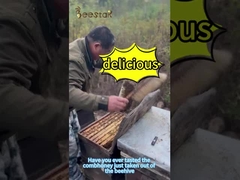 500g Natural Comb Honey Multi-Flower Light Yellow Food Grade