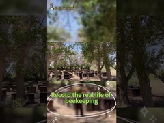 Beestar Fresh Natural Honey Without Any Additive Natural Bee Honey Raw Honey For Health Care