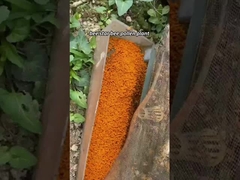 Customized Raw Fresh Tea Pollen Bee Vitamins New Fresh Natural Bee Products