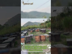 Natural Honey Raw Bee Pollen Granular Pure Bee Pollen Bee Food