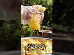 100% Natural  Honey Pure Raw Honey Healthy Food Natural Bee Honey for Wholesale