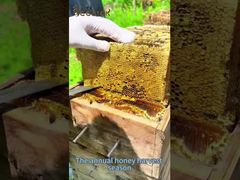 Honey has entered the harvest season, and beekeepers are busy harvesting it