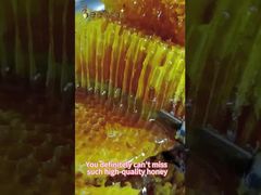 Raw Honey Natural Bee Honey from Natural apiary daily care Natural Bee Honey