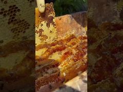 Have you ever wondered what the world's most exquisite, untouched sweetness truly tastes like?