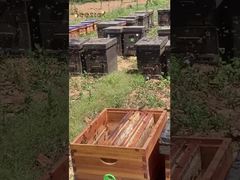 Thank the hardworking bees for producing the purest honey for us