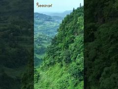 Take you to visit our bee farm located deep in the mountains and get close to nature