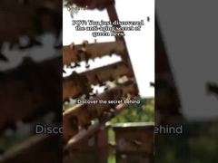 Natural high 10-HDA Organic Fresh Royal Jelly Pure Royal Jelly for health care