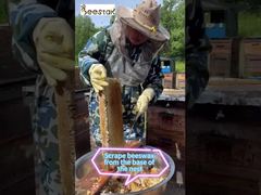 Pure Natural beeswax a must-have for any environmentally conscious individual