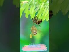 Look at this flowing texture. This is truly the 