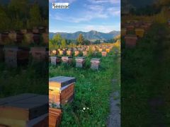 The entire mountain scenery has been transformed into a sweet and refreshing taste on the tip of the