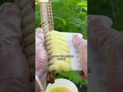 If you know the benefits of royal jelly to the human body,you will surely like it.