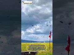 Watch: Multi-Flower Raw Bee Pollen Granules 25kg Carton Food Supplement Showcase