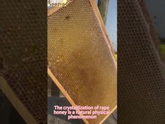 A Closer Look: Bulk No Additive Snow Cream Honey Crystallization Honey Crystal Honey Natural  Honey