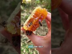 After watching this video, you will be able to distinguish between genuine and fake honey