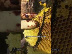 Honey just taken out of the beehive, a natural sweetener from nature