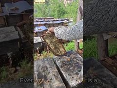 A Closer Look: Organic Pure Bee Honey Raw Natural Bulk,Pure natural and naturally matured honey