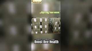 Pure Rape Pollen for Energy & Wellness