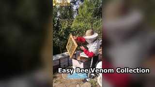 Bee Venom Collector Device Easy Beekeeping