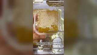 This comb honey comes with a food-grade sealed comb honey box, 