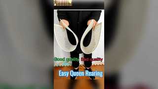 No Graft Queen Bee Rearing System