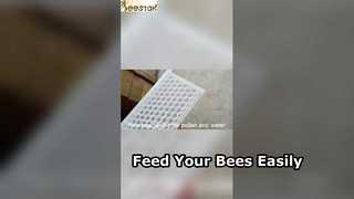 Bee Feeder for Healthy Hives