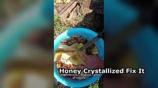 The beekeepers are harvesting honey at our apiary.