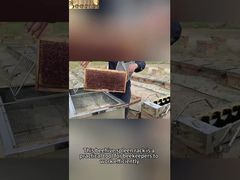 Beehive Frame Shelf Honey Tank Support