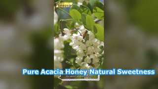 Pure White Acacia Honey Natural Sweetness