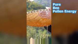 Raw Bee Pollen Natural Energy Boost